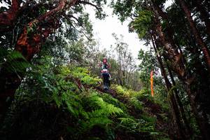 BIB: 
                            <button type="button" onclick="openModal(26204794)" class="btn btn-primary btn-sm float-right btn-popup" data-toggle="modal" data-target=".modal-high-quality">
                        <i class="fas fa-shopping-cart"></i> Add to Cart
                    </button>
                                            <button type="button" onclick="isThisMe(26204794, true)" class="btn btn-success btn-sm float-right btn-popup btn-isme hidden" data-toggle="tooltip" data-placement="bottom" title="นี่คือรูปของคุณใช่ไหม คลิกที่นี่เพื่อเอาเข้าอัลบั้ม">
                        <i class="fas fa-plus"></i> Add to album
                    </button>
                    <button type="button" onclick="isThisMe(26204794, false)" class="btn btn-warning btn-sm float-right btn-popup btn-isnotme hidden">
                        <i class="fas fa-ban"></i> Remove from album
                    </button>